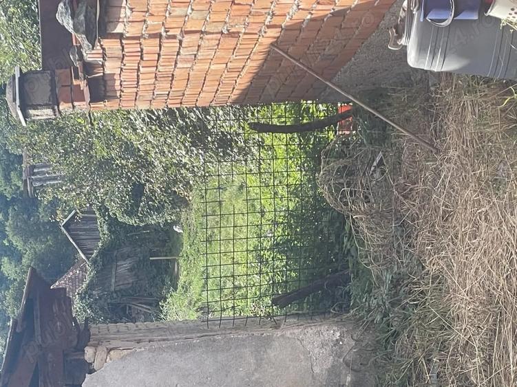 Casă cu 2 camere în Borlova