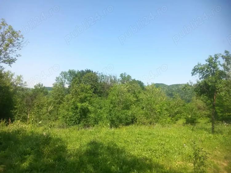Teren de 2225 mp, în Provița de Jos