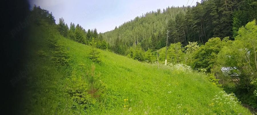 Teren de 1500 mp, în Bicazu Ardelean