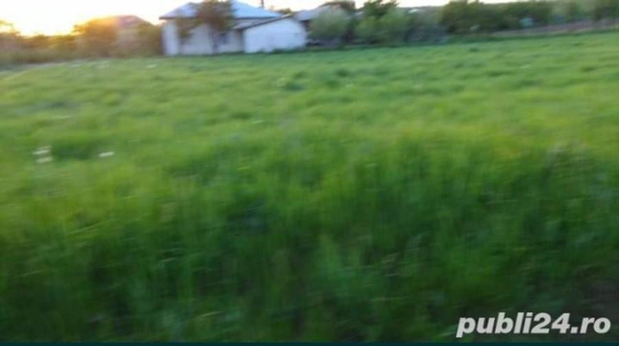 Teren în Albota