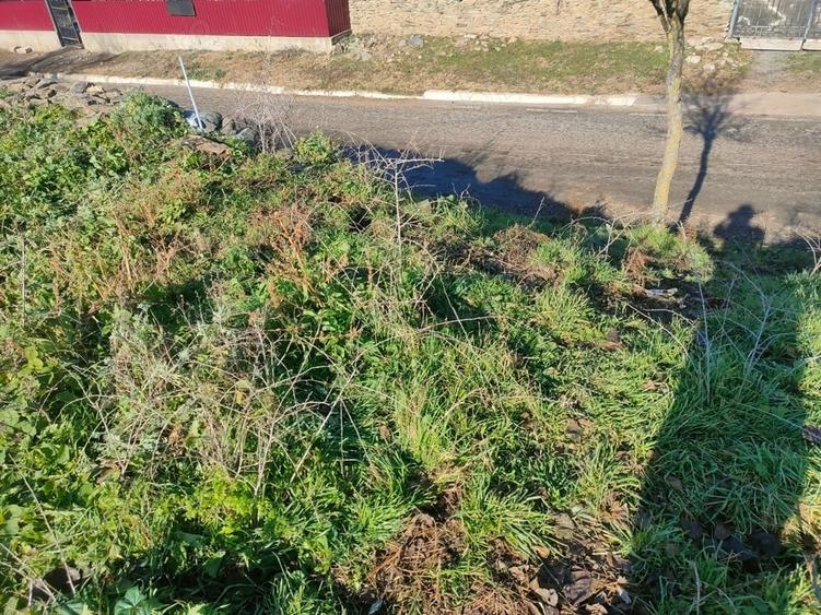 Teren de 2000 mp, în Topolog