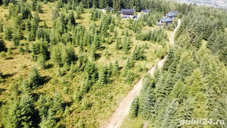 Teren de 5000 mp, în Cozănești
