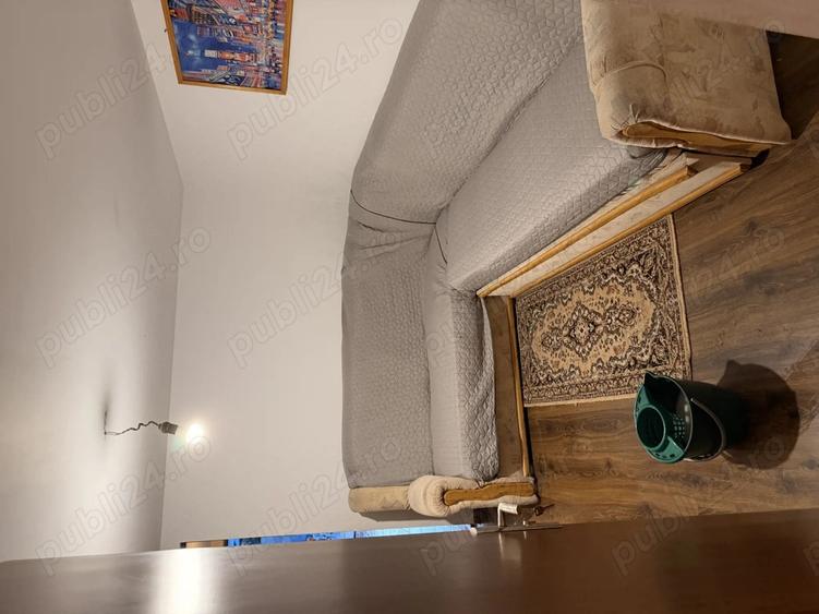 Casa + Teren Brebeni - 8000 metri patrati - 10 minute de Slatina - 3