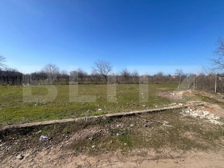 Teren intravilan, 700 mp, Cosoveni - 3