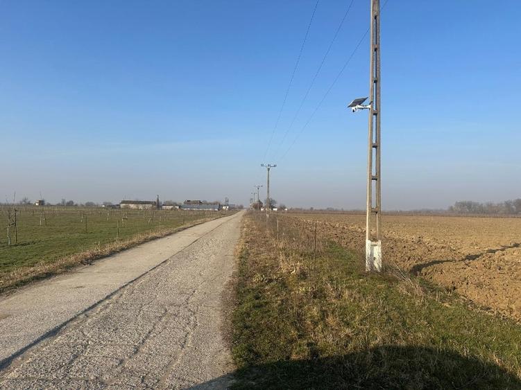 Livadă de nuc: Afacere agricolă cu potențial ridicat – 74,9 ha irigate - 4