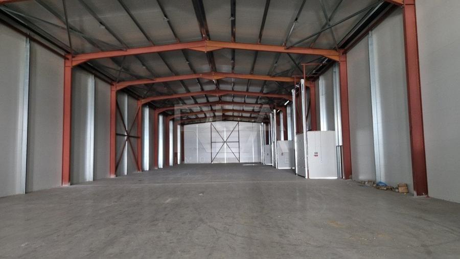 Hala 970 m.p. + 200m.p. Birouri | Temperatura controlata | Pallady/Oxigenului - 1