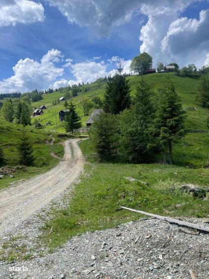 Teren intravilan Muntele Bocului | Panorama superba | 15/mp - 3