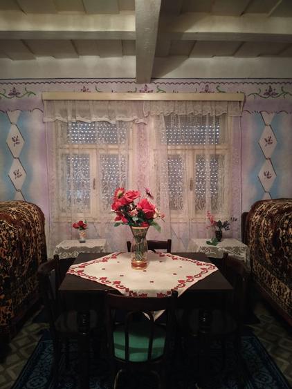 Casa cu pamant de vanzare in Satul Berechiu - 3