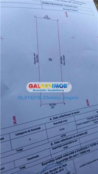 Adunatii Copaceni teren intravilan  14700 mp,deschidere 62m - 5