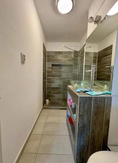 garsoniera dristor baba novac - 9