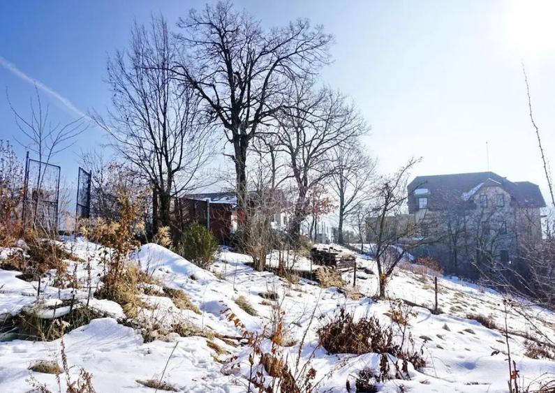 Teren Intravilan - Zona Drumul Poienii - 1