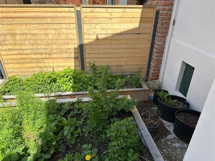 Casa in curte comuna. - 9