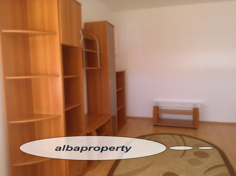 Apartament 2 camere , zona  Cetate , mobilat - 3