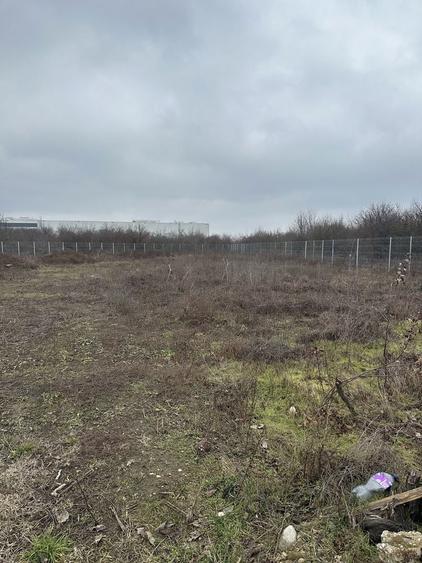 Vand teren intravilan Dragomiresti Vale 900 mp - 7