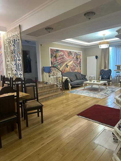 BRANESTI-VILA SUPERBISSIMA,LA LAC,PISCINA,FANTASTICA,UNICAT,700000 EURO - 24