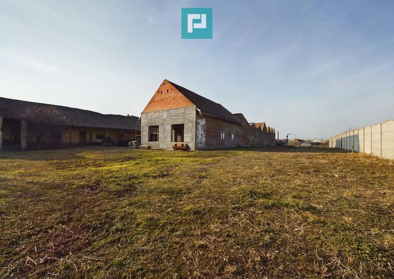Teren ?i hale pe Calea Aradului din Periam - 1