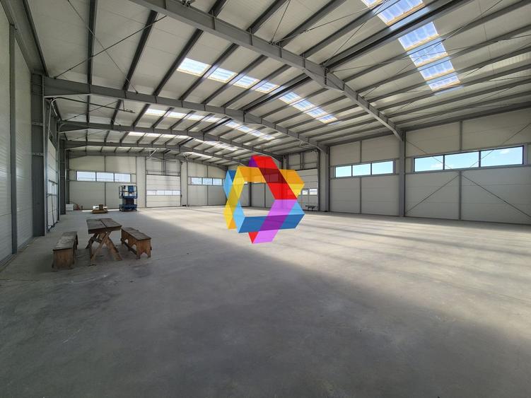 Hala - 1400 mp  # plus-imo.ro - 19