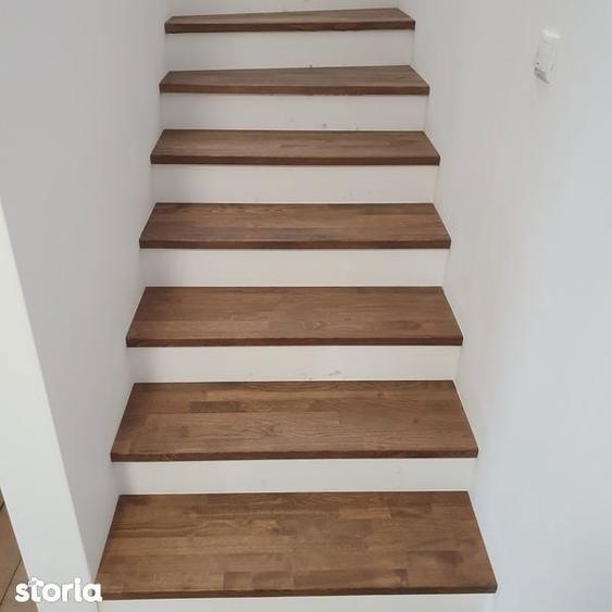 Dau in chirie Casa Noua Str Doinei Dambul rotund - 1