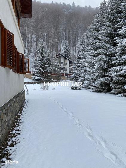 Vila superba de vanzare in statiunea Sinaia, langa Izvorul Dorului - 3