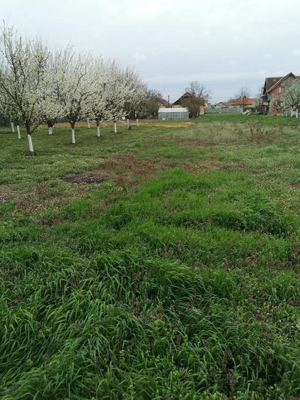 Vand teren intravilan - 4