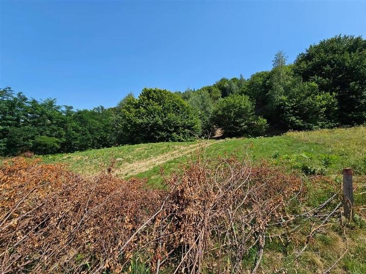 Alzza Real Estate  Teren intravilan de vanzare in Salicea, Cluj  1170 mp cu PU - 3