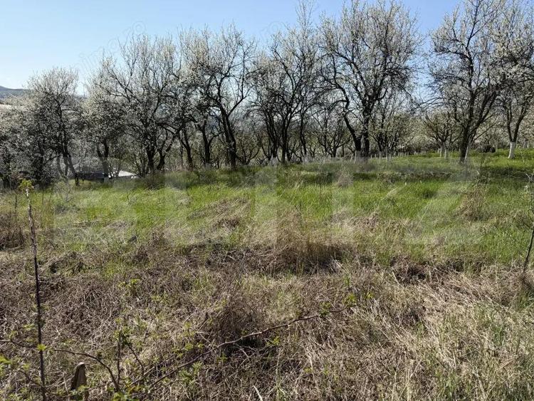 Teren intravilan in localitatea Criseni in suprafata de 2700 mp - 3