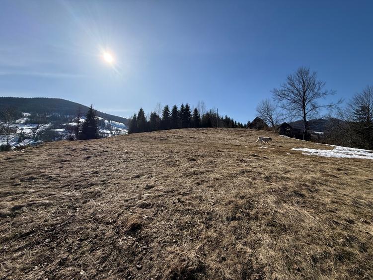 Teren de vânzare intravilan în Arieșeni (Alba) - 7