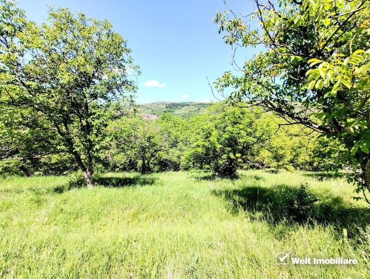 Teren intravilan pentru constructie imobil, Suceagu - 1