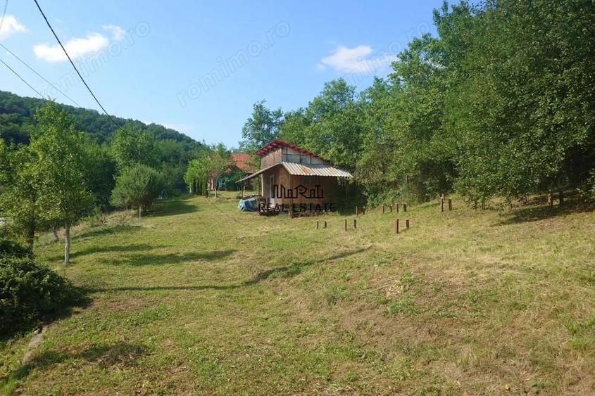 Cabana, anexe si 2000 mp teren intravilan in Taratel, Brad - 15