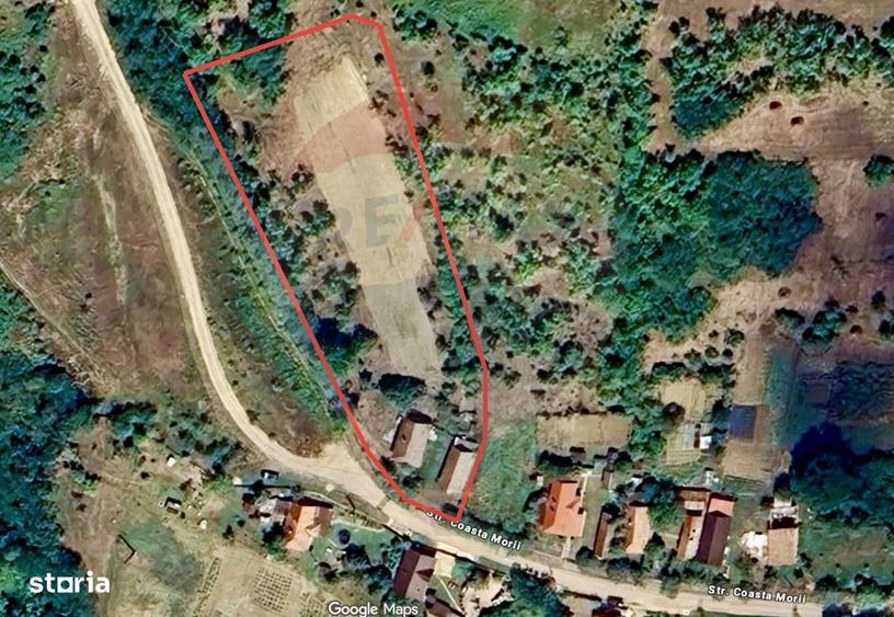 Teren Intravilan 4900mp Dabaca - Cluj - Proiect Turism Rural - 6