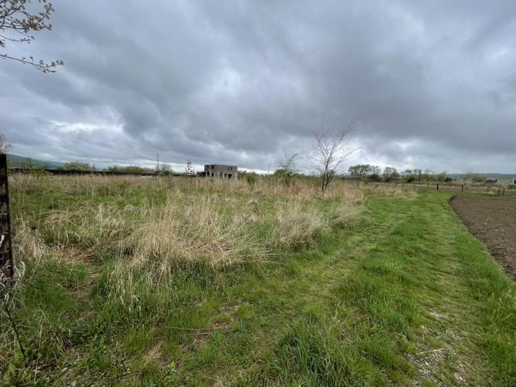 Loturi teren 567 mp - Hemeius - Pensiunea Loredana - 4