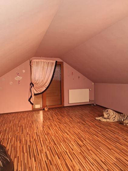 Casa centrală cu curte proprie - 6