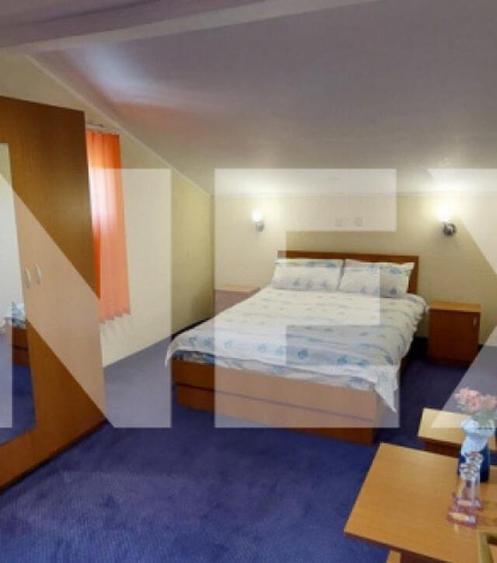 Pensiune 9 camere in Valea Mare Bratia, com. Balile?ti, ju - 14