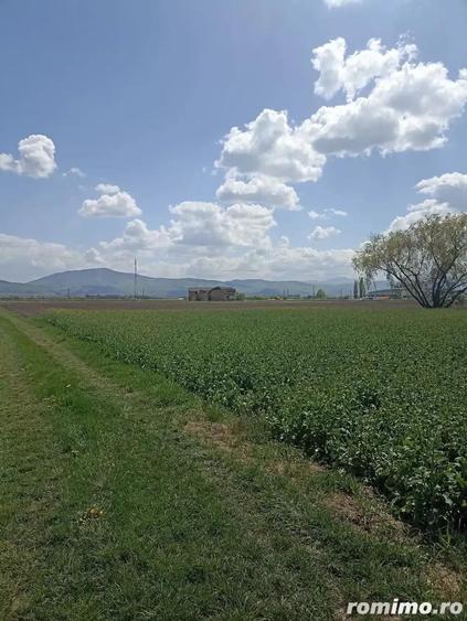De vanzare teren extravilan lang drum DN11 - 4