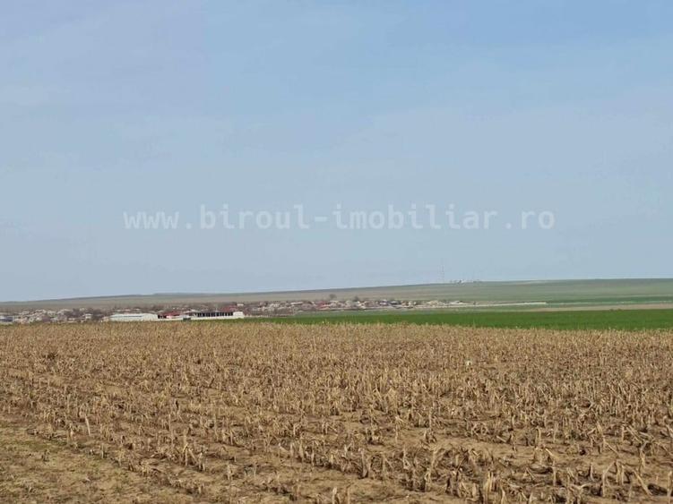 0% Comision - Vânzare teren agricol comasat direct la Soseaua  Istria - Sinoe - 6