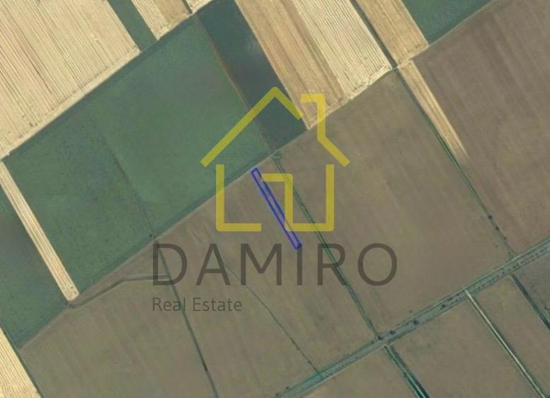 Teren Intravilan 5000 mp Buftea Tamasi - 1