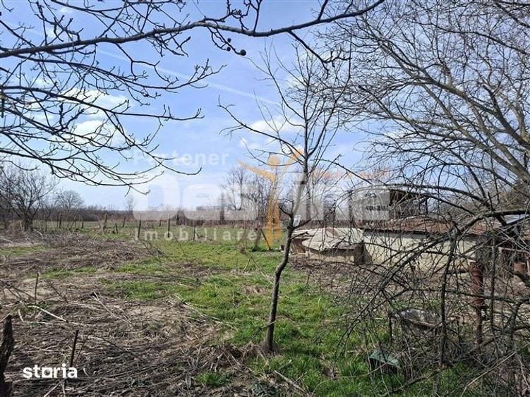 Teren situat in intravilan ul comunei Brazi, 1257 mp, constructie demo - 5