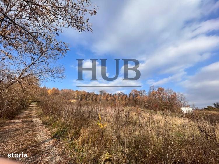 TEREN 1095MP -PODIS -DN 2G- BACAU -MOINESTI - 7