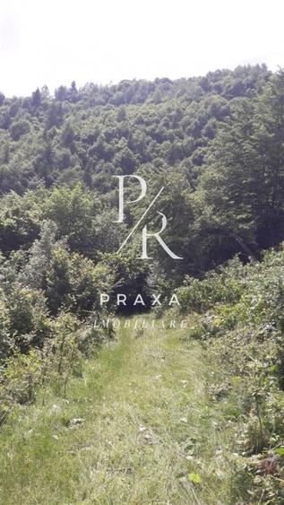 Teren de vanzare 10.000 mp/ parcelabil, cu utiitati, 4 euro/ mp! Maguri Racatau! - 15