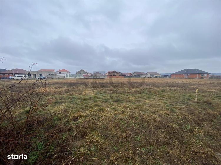 RECO teren intravilan 572mp Episcopia - 3