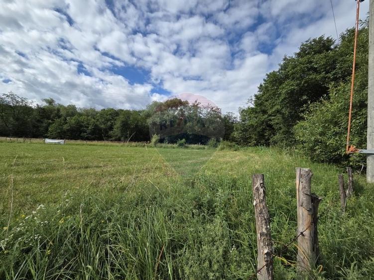 Teren de vanzare  Intravilan 19.341 mp - Cheile Rasnoavei, Parcelabil - 16