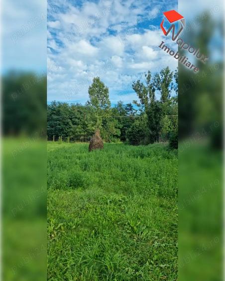 Teren pentru constructii in comuna Ciurila - 4