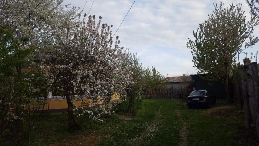 Vand casa in Oinacu jud Giurgiu - 6