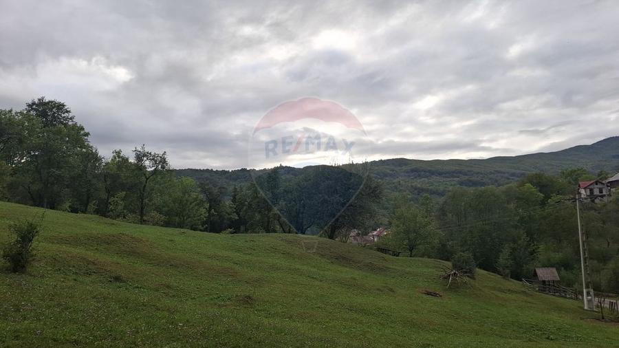 Teren cu priveliste spectaculoasa, 4000mp, la 18km de Sinaia - 6
