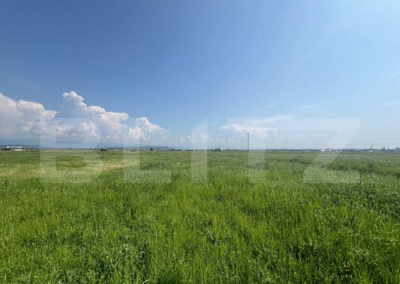 Teren Extravilan, 10.000 de mp, langa Centura Noua din Targu - 1