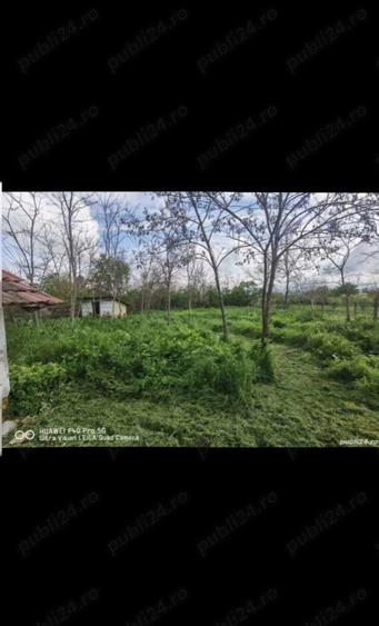 Casa cu teren de vanzare - 7