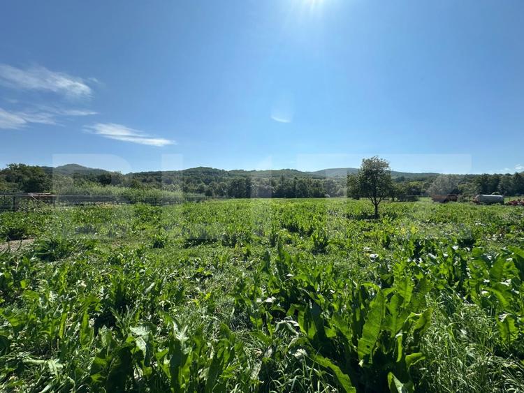 Casa saseasca de vanzare, curte, gradina, teren 3000 mp - Jimbor, jud Brasov - 7