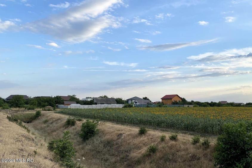 Tamasi, langa padure, 12.824 mp, deschidere 45 ml, teren cu potential! - 1