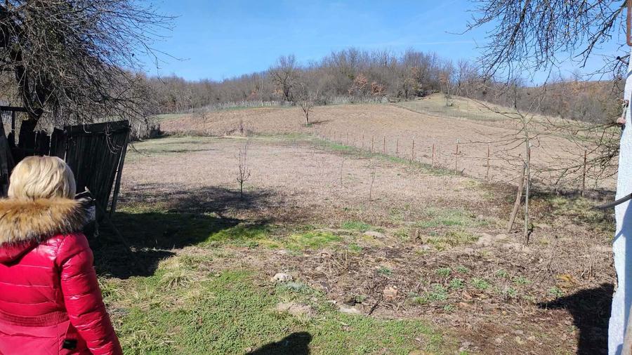 Casa de vanzare cu teren generos - 4