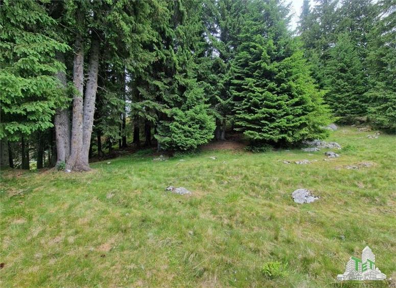 Teren intravilan de vanzare Padina/ Muntii Bucegi - 6